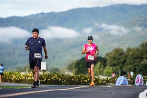 BIB: 
                            <button type="button" onclick="openModal(26542392)" class="btn btn-primary btn-sm float-right btn-popup" data-toggle="modal" data-target=".modal-high-quality">
                        <i class="fas fa-shopping-cart"></i> Add to Cart
                    </button>
                                            <button type="button" onclick="isThisMe(26542392, true)" class="btn btn-success btn-sm float-right btn-popup btn-isme hidden" data-toggle="tooltip" data-placement="bottom" title="นี่คือรูปของคุณใช่ไหม คลิกที่นี่เพื่อเอาเข้าอัลบั้ม">
                        <i class="fas fa-plus"></i> Add to album
                    </button>
                    <button type="button" onclick="isThisMe(26542392, false)" class="btn btn-warning btn-sm float-right btn-popup btn-isnotme hidden">
                        <i class="fas fa-ban"></i> Remove from album
                    </button>